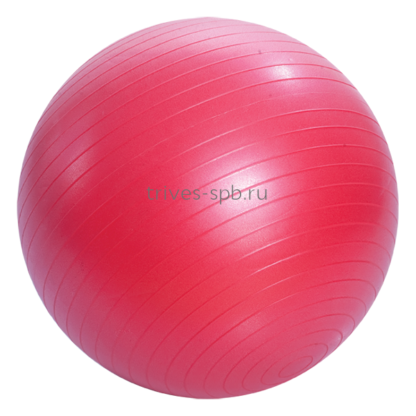 Мяч для лечебной физкультуры с насосом М-265